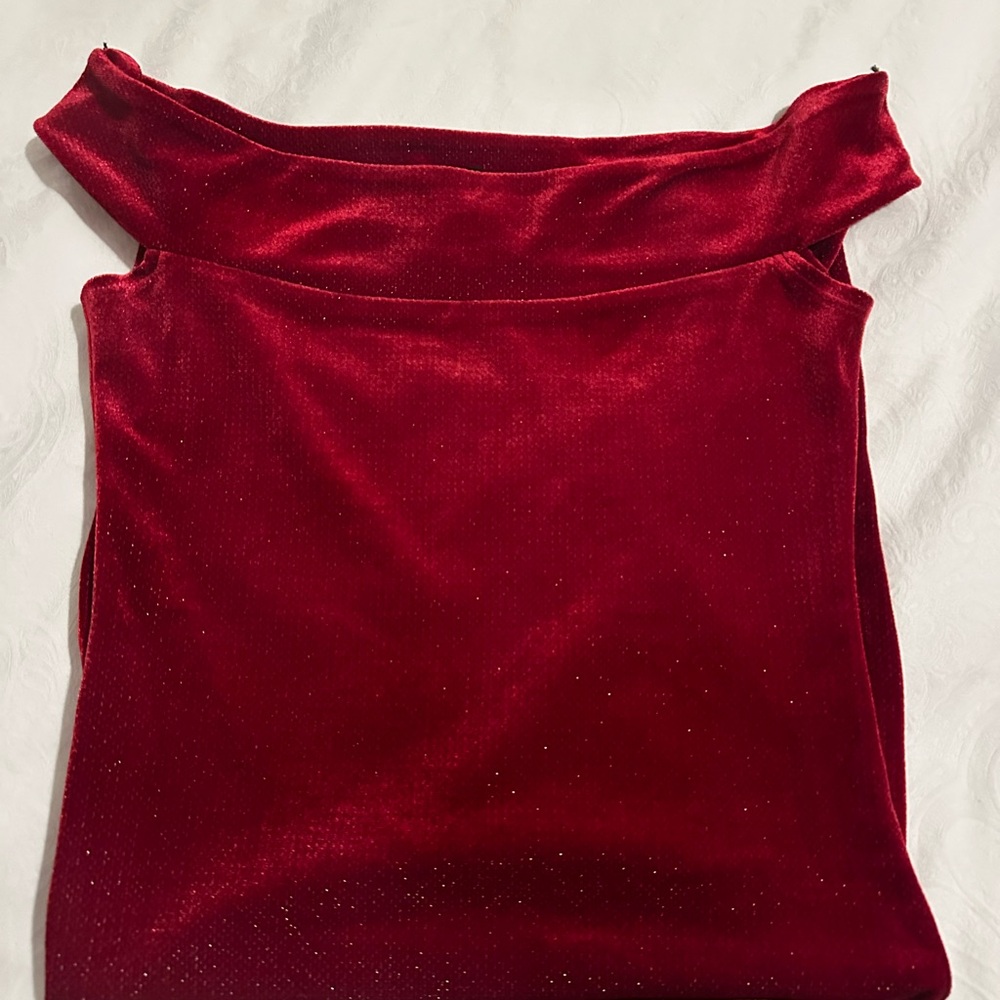 Forever 21 Rich Red Velvet Dress